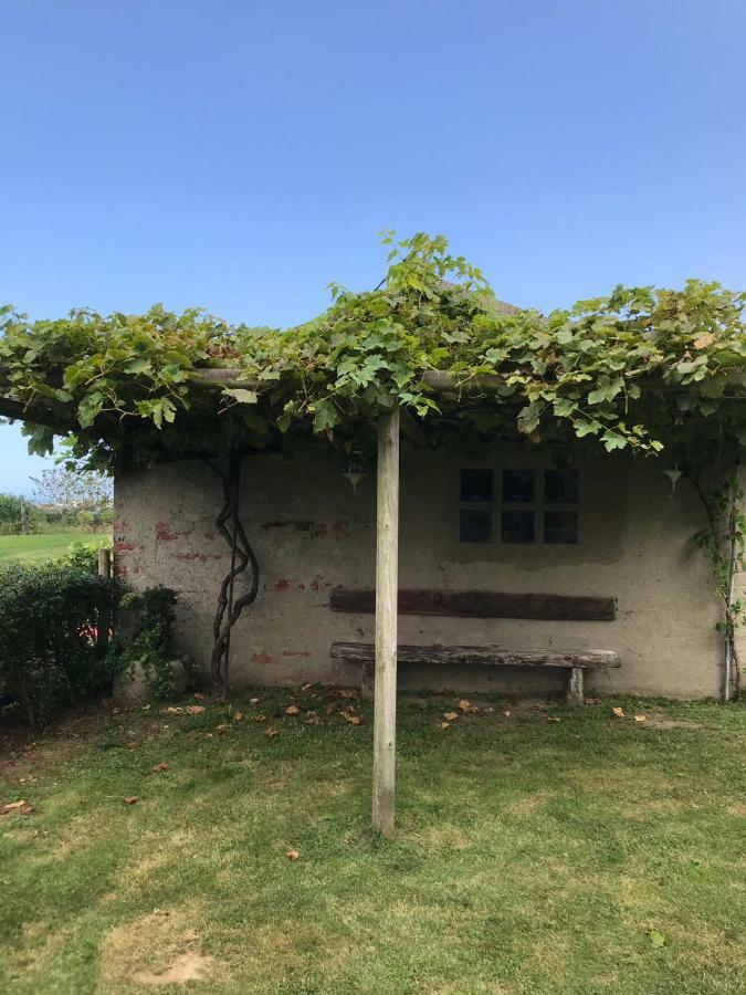 El Campo *